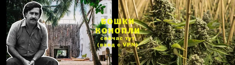 Бошки марихуана SATIVA & INDICA  Долинск 